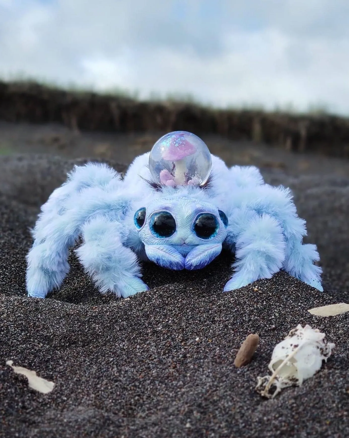 Blue mercurian spider